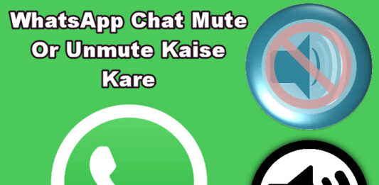 whatsapp mute kaise kare in hindi